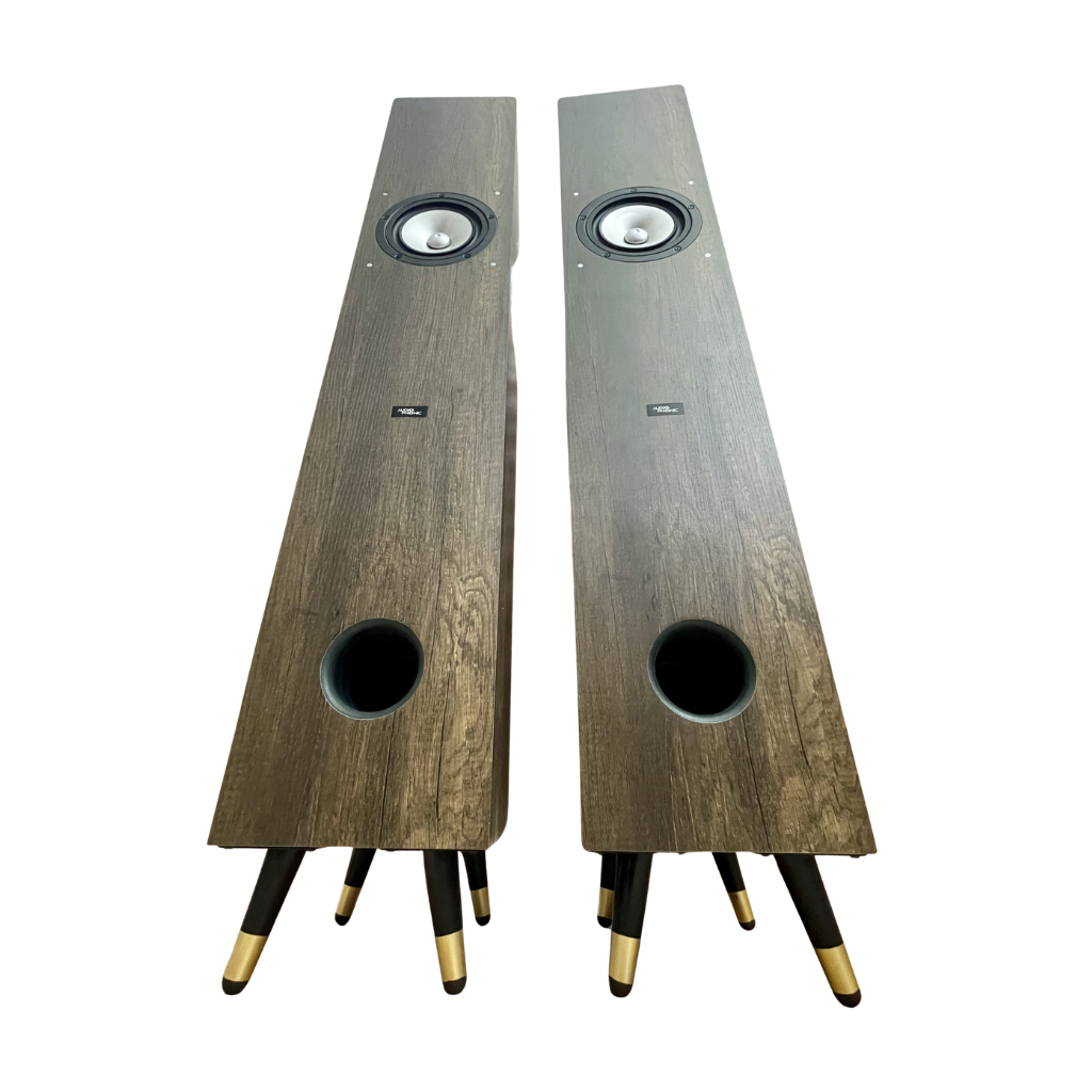 Audiophonic PHONIC-CHNT110 110mm Full Range Passive Speaker + Power Amplifier