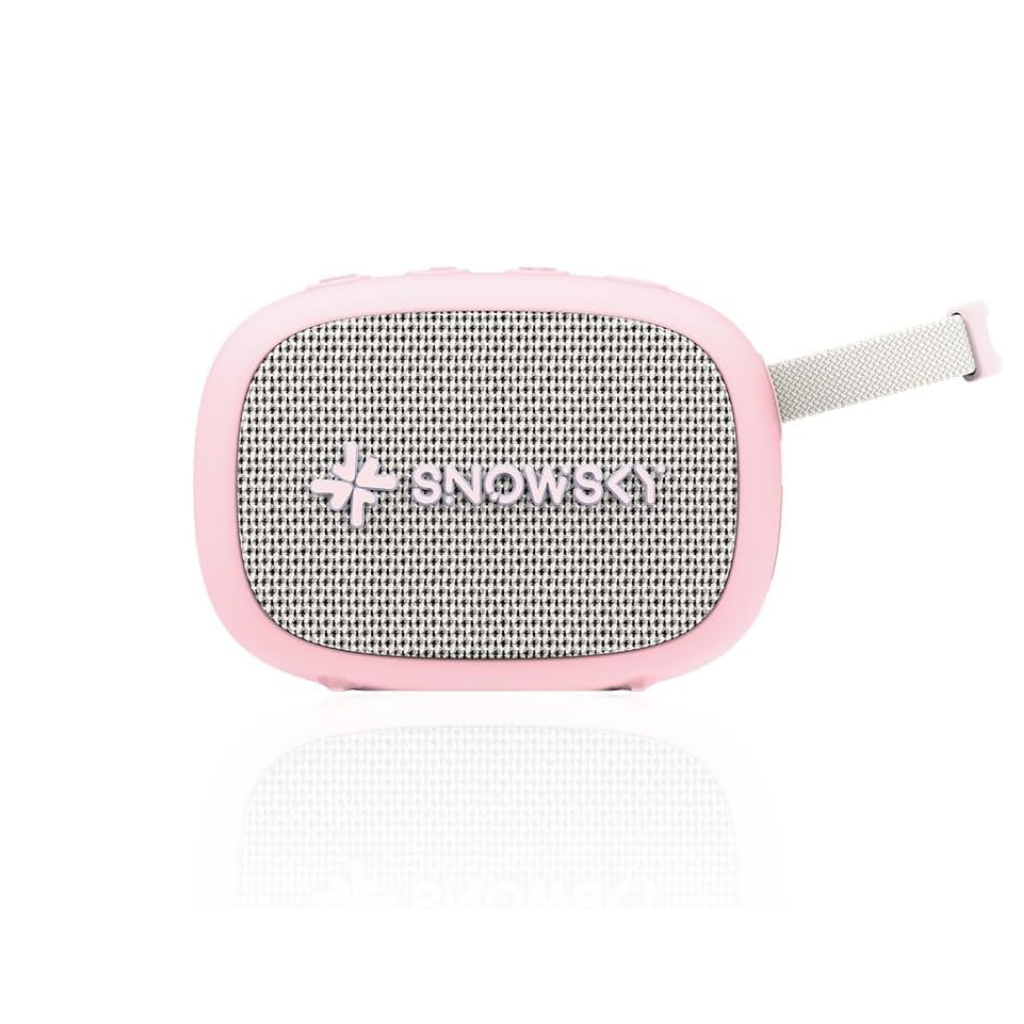 FiiO Snowsky Anywhere 2