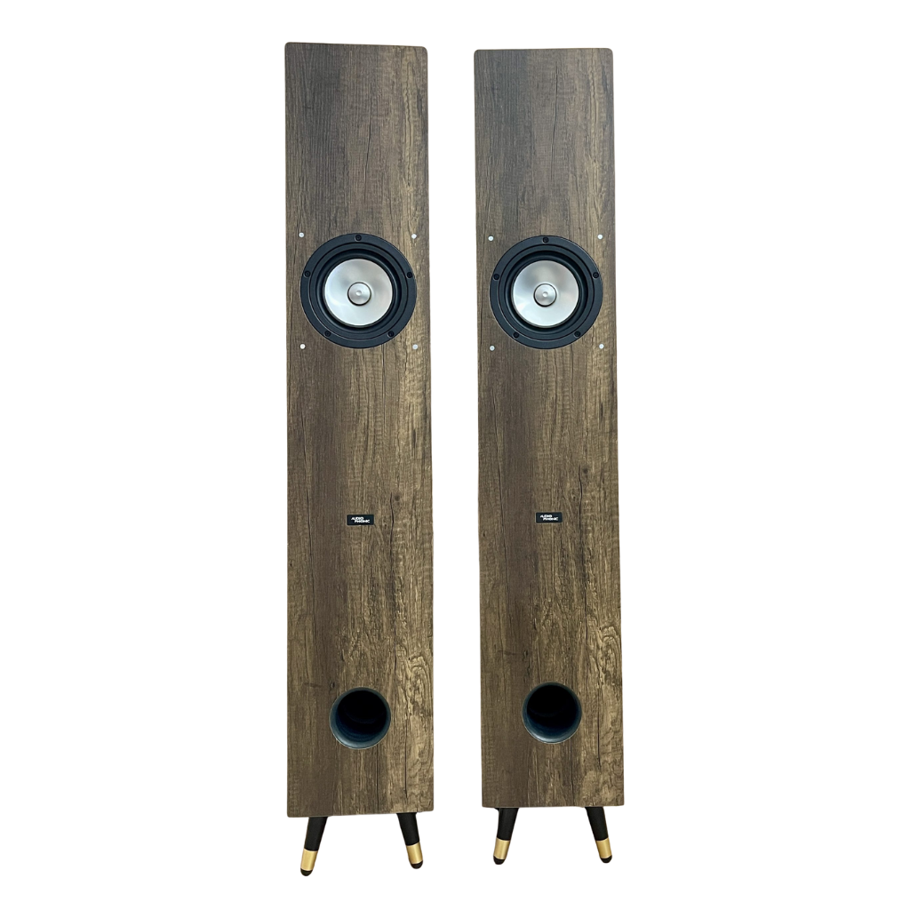 Audiophonic PHONIC-CHNT110 110mm Full Range Passive Speaker + Power Amplifier