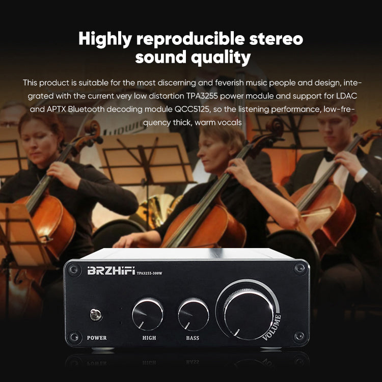 BRZHIFI Class D Amplifier PAD-3255X2