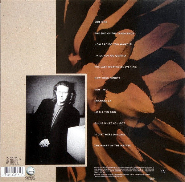 Don Henley – The End Of The Innocence (Used) (Mint Condition)