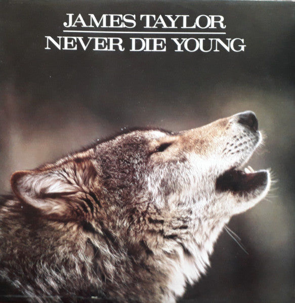 James Taylor - Never Die Young (Used) (Mint Condition) - Vinyl