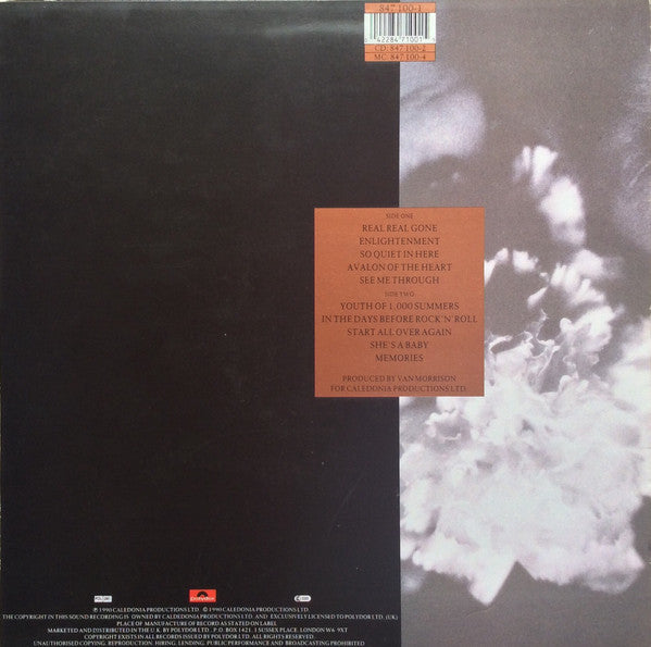 Van Morrison – Enlightenment (Used) (Mint Condition) Vinyl