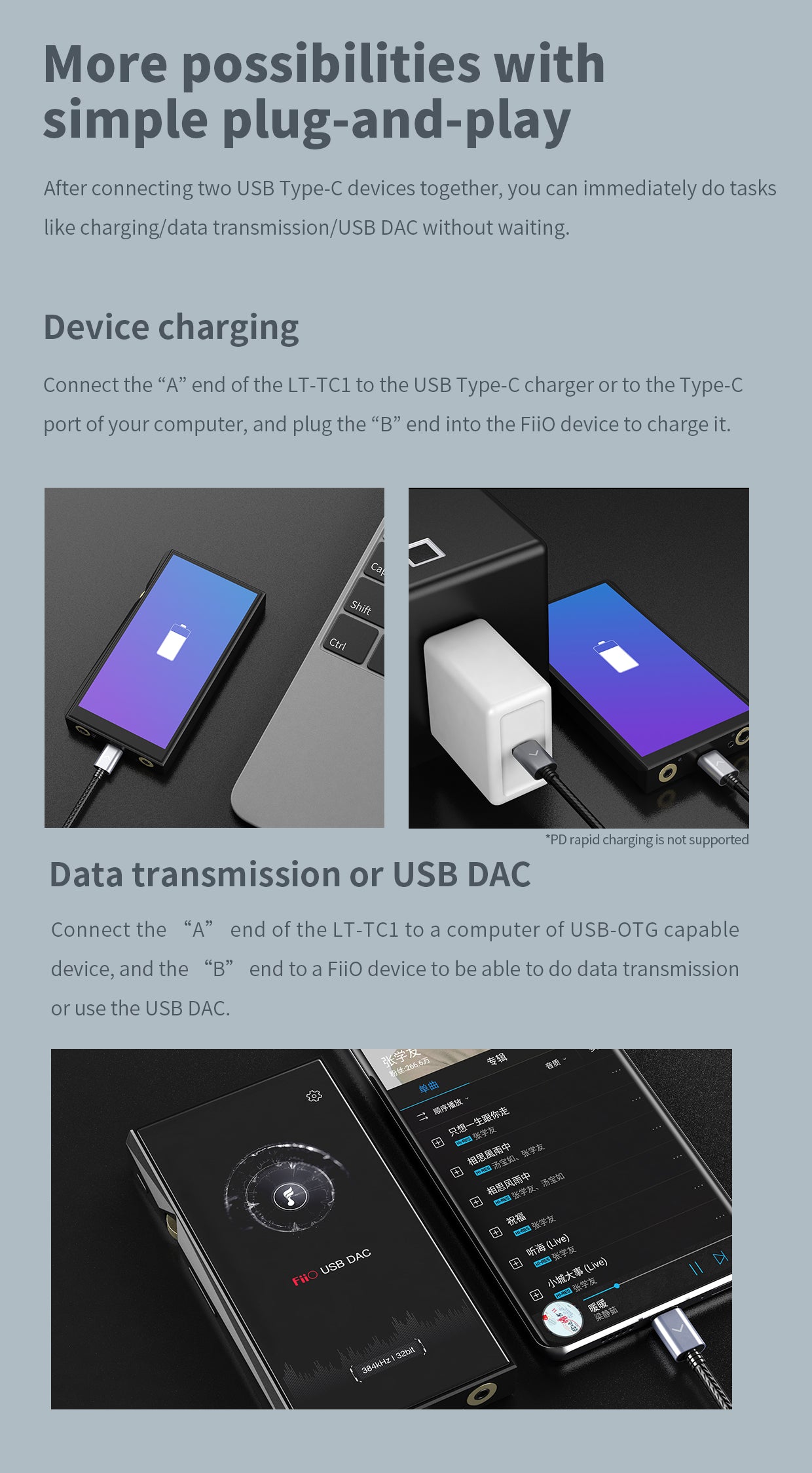 FiiO LT-TC1 Type-C to Type-C USB Cable