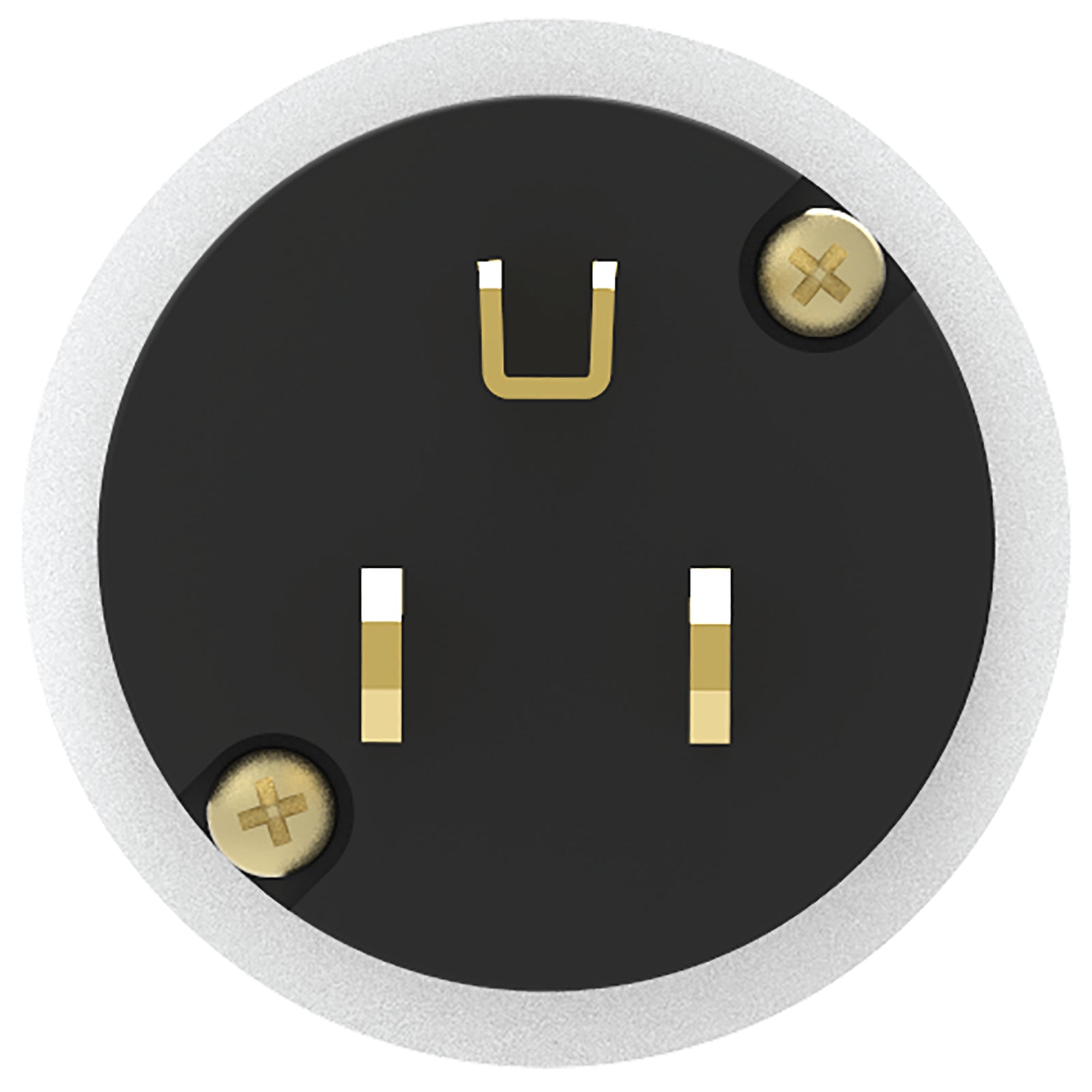 iFi Audio AC iPURIFIER - Audiophile AC Power Filter