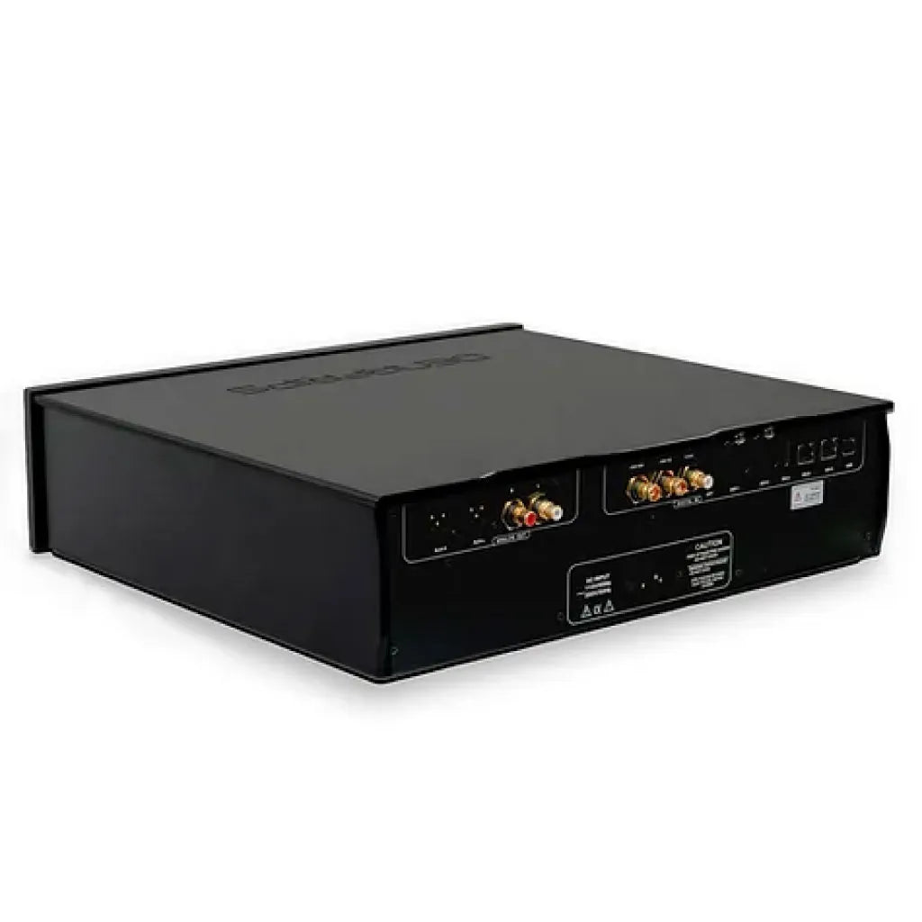 DENAFRIPS TERMINATOR 15TH Black Back