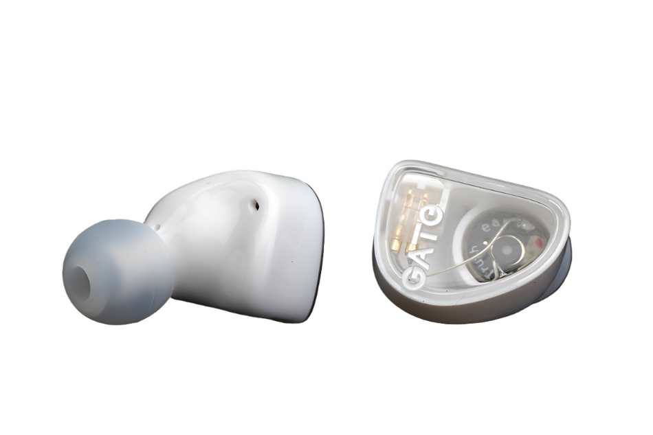 Truthear Gate Earphone