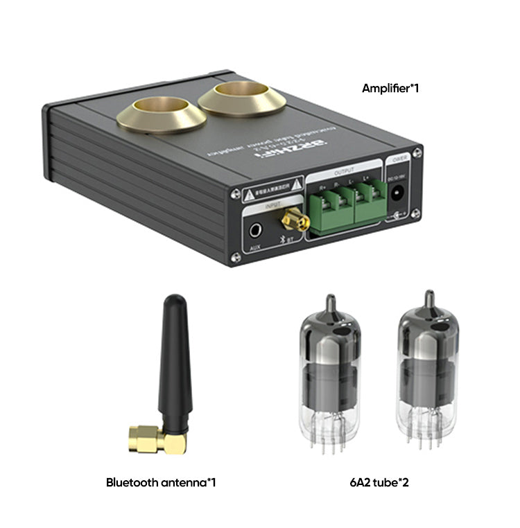 BRZHIFI Class D Amplifier PAD-6A2