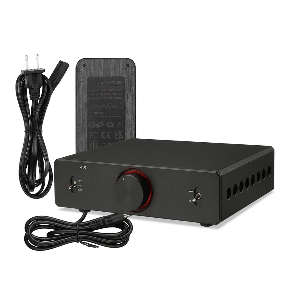 Aiyima A20 Power Amplifier