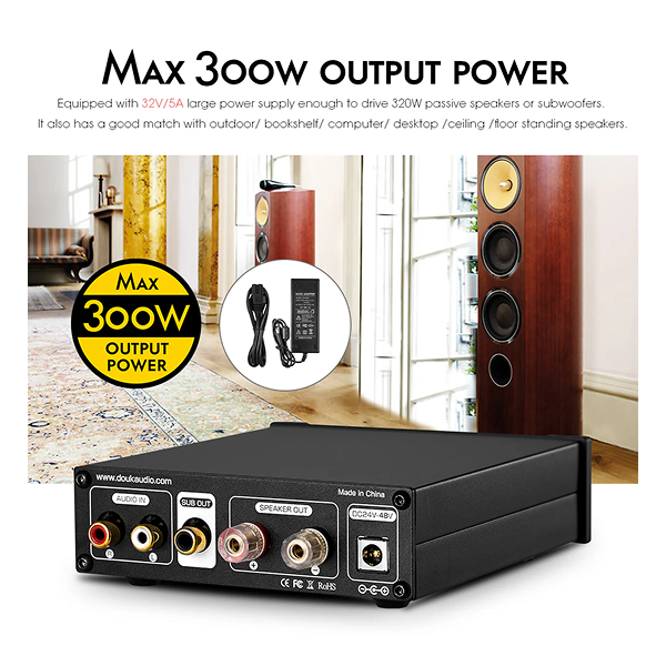 Douk Audio G2 PRO Class D Mono Power Amplifier