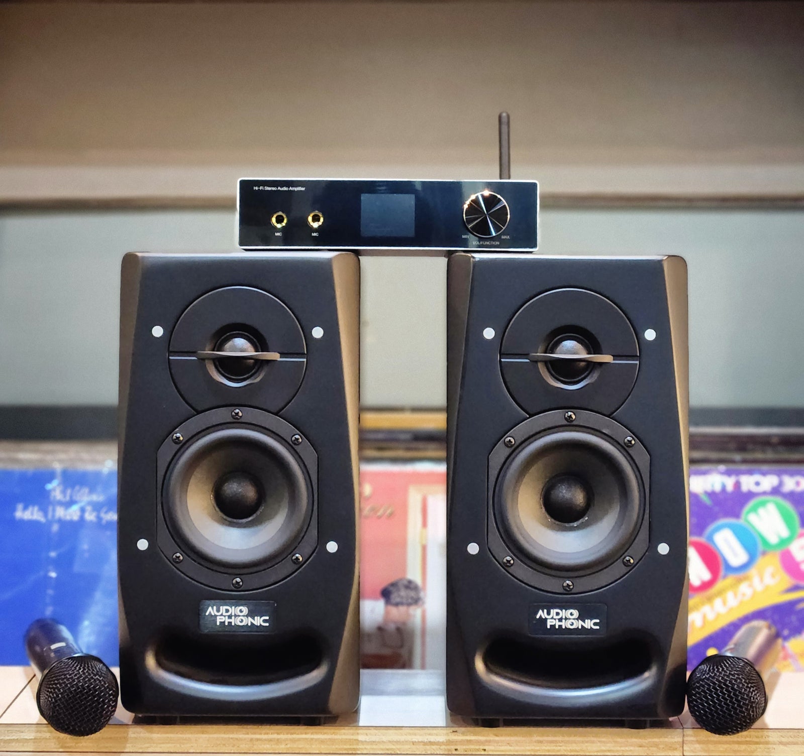 AudioPhonic Z50 Pro Speaker + Cloudecho Audio CL-600B Class D Bluetooth Amplifer