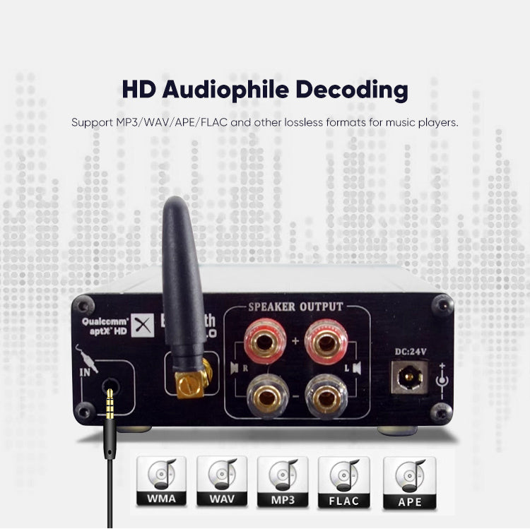 BRZHIFI Class D Amplifier PAD-3255X2