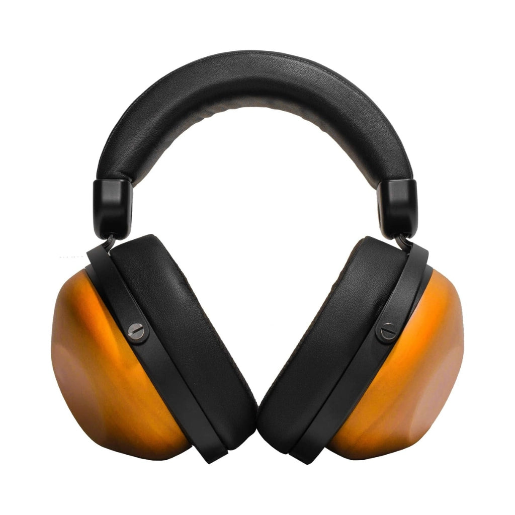 HIFIMAN HE-R10D Dynamic Topology Driver Close-Back Wired Over-Ear Headphones