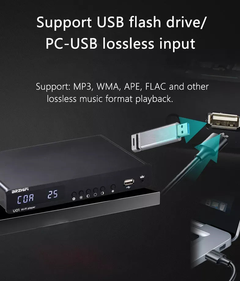 BRZHIFI Power Amplifier Audio Decoder PLY-U01