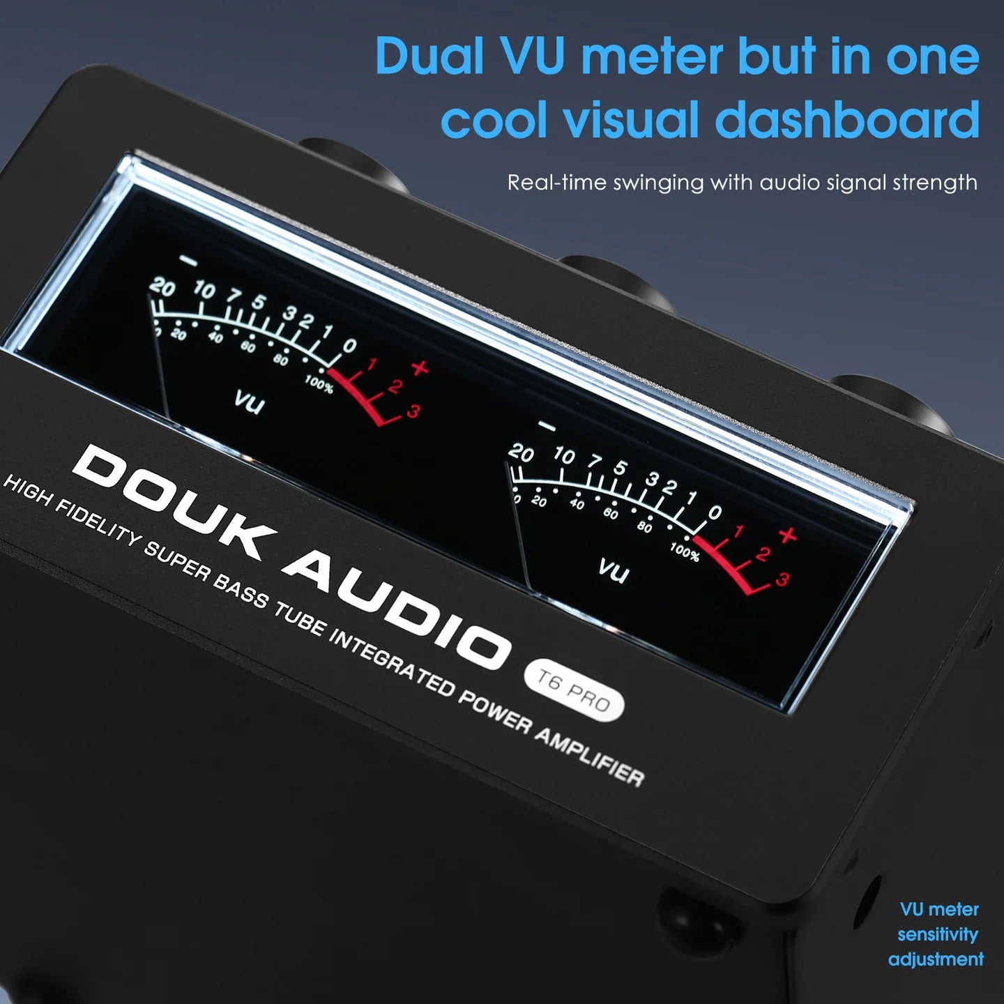 Douk Audio T6PRO Class D Tube Amplifier
