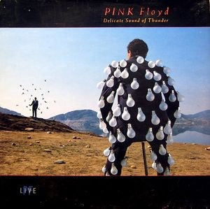 Pink Floyd - Delicate Sound Of Thunder 2 Discs (Used) (Mint Condition)