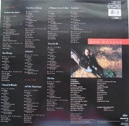 Joe Cocker – Unchain My Heart (Used) (Mint Condition) - Vinyl