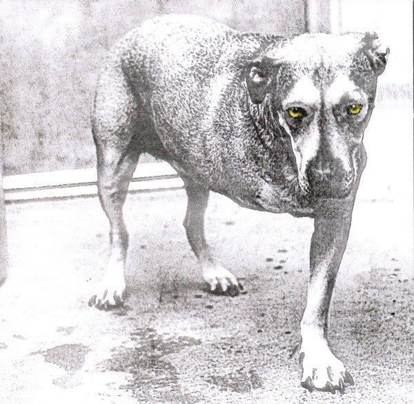 Alice In Chains - Alice In Chains (Used) (Mint Condition) - CD