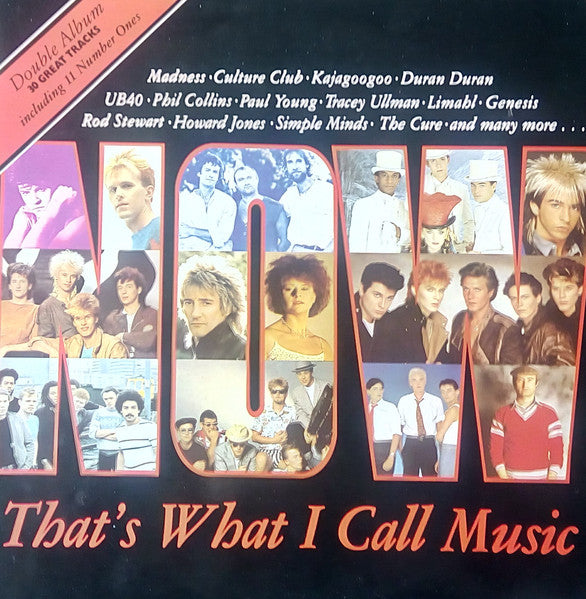 Various – Now That's What I Call Music - 2 Discs (Used) (Mint Condition) Vinyl