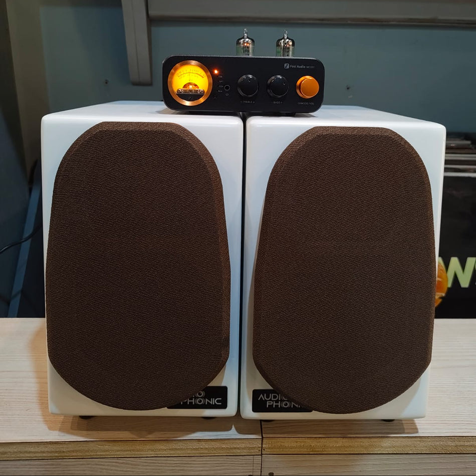 Audio Phonic Z50 & Fosi Audio MC331 Integrated Amplifier