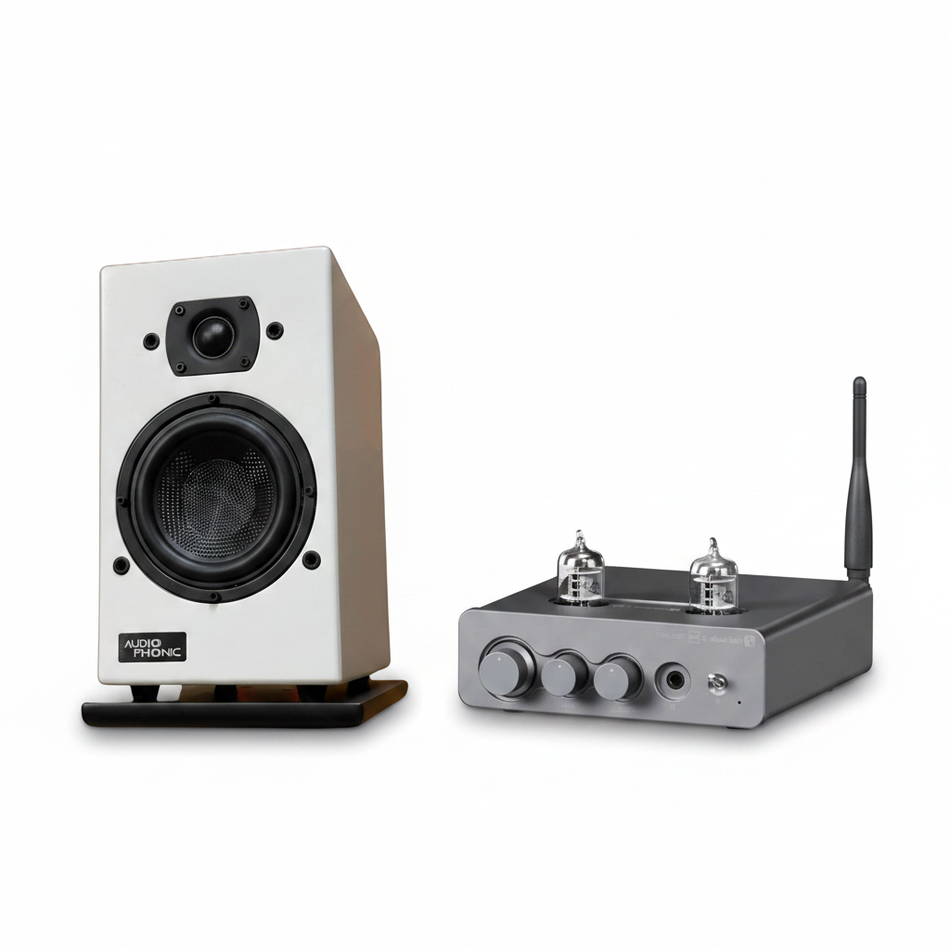 Audio Phonic Speakers TRITON-55 & Fosi Audio T20X MKII Vacuum Tube Amplifier