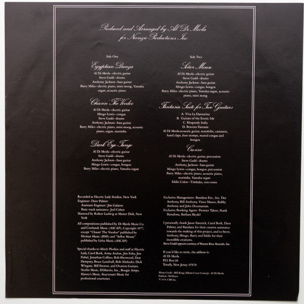 Al Di Meola – Casino (Used) (Mint Condition) Vinyl