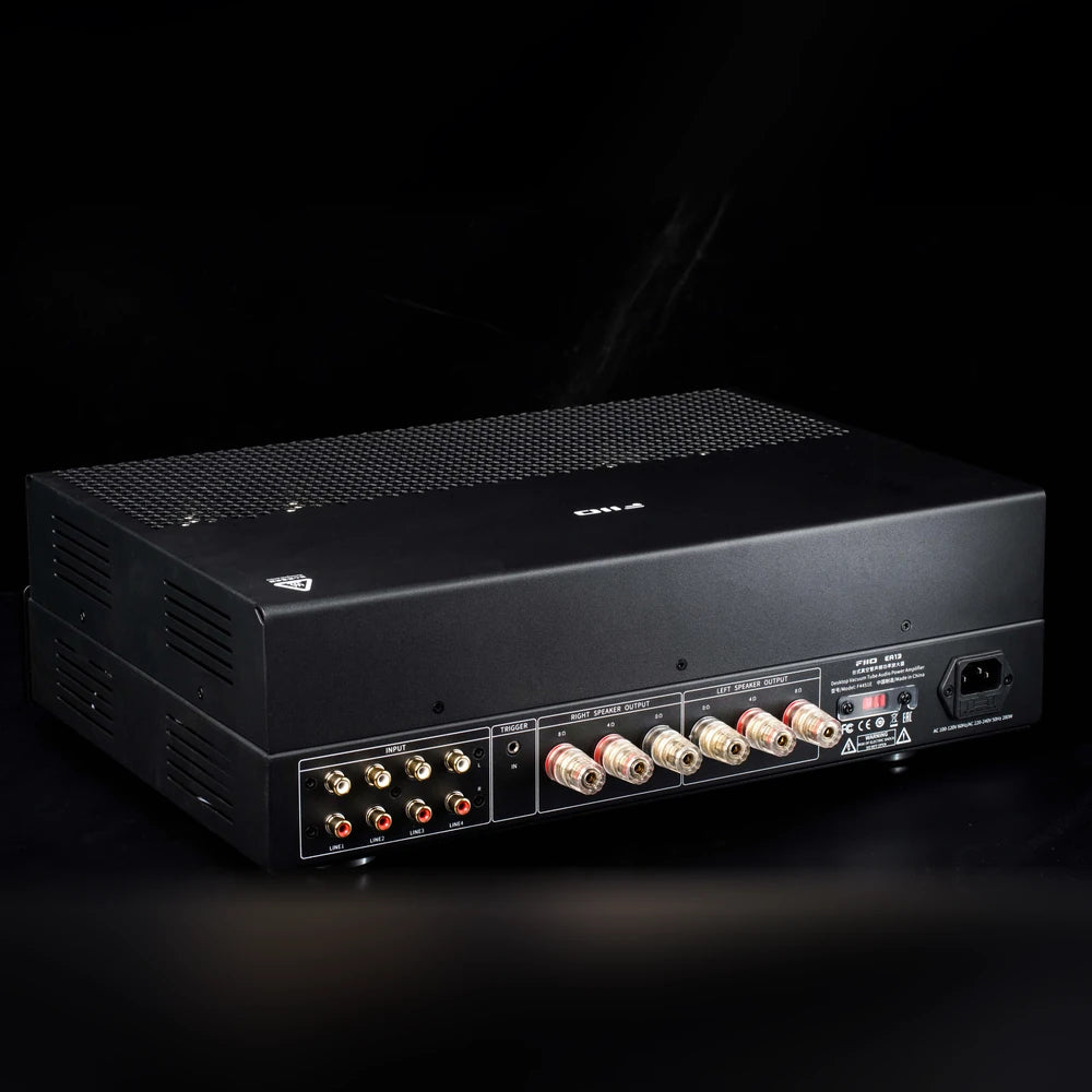 FiiO EA13 black tube amplifier rear angle showing RCA inputs and gold-plated speaker binding posts