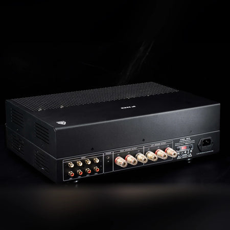 FiiO EA13 black tube amplifier rear angle showing RCA inputs and gold-plated speaker binding posts