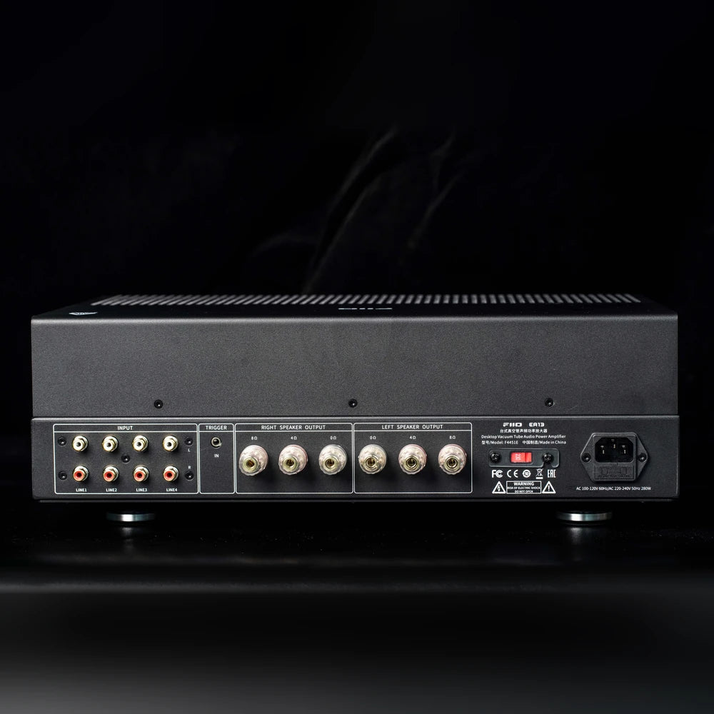 FiiO EA13 black tube amplifier rear panel connections in a dark studio