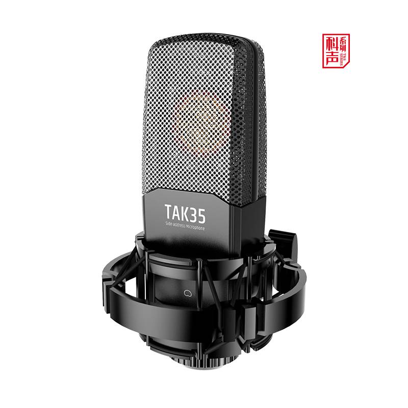 Takstar TAK35 Recording Microphone