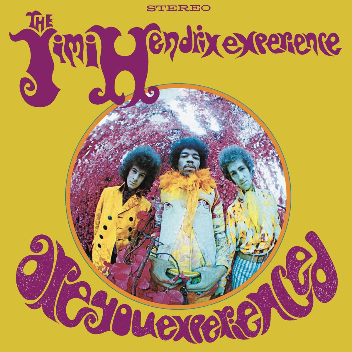 The Jimi Hendrix Experience-Are You Experienced