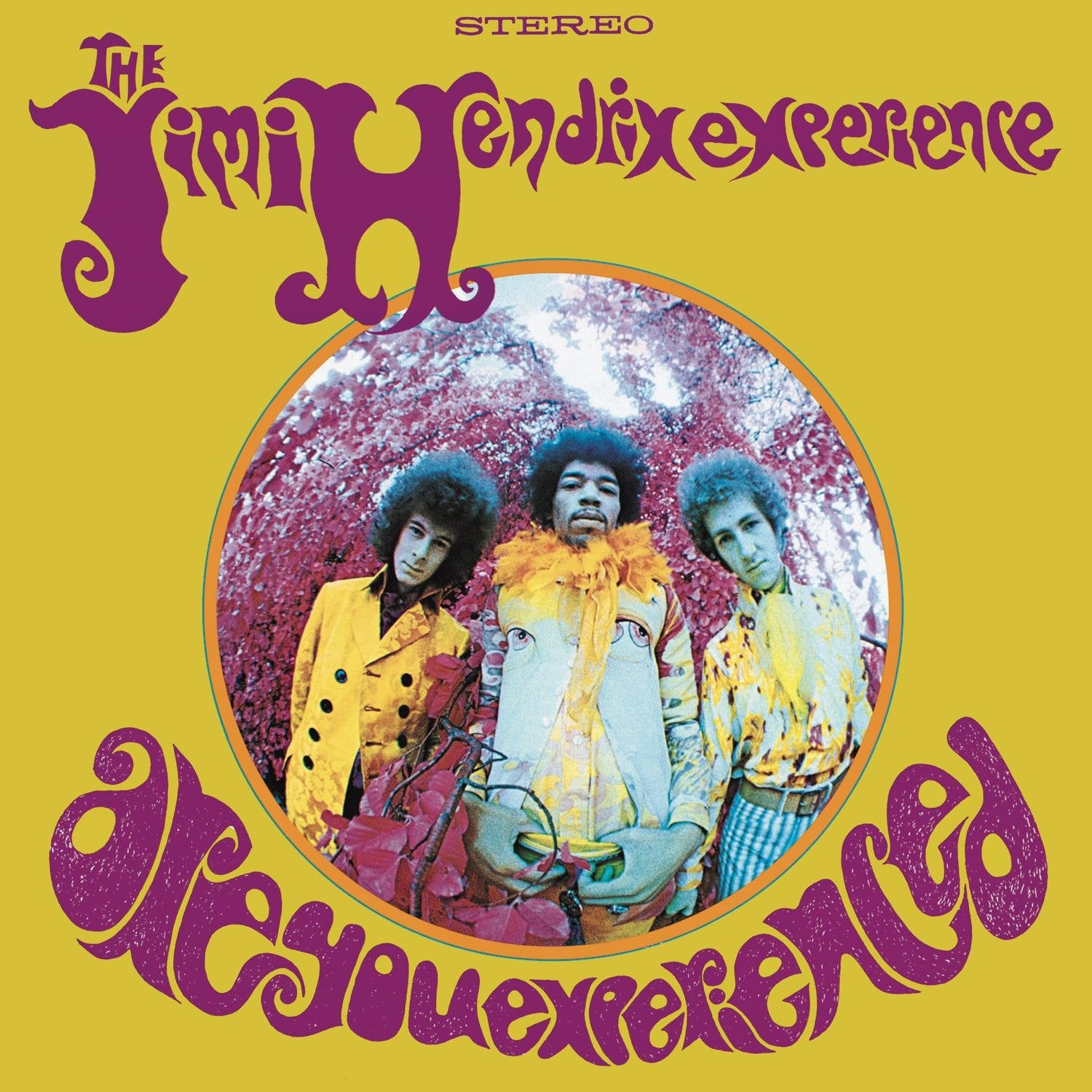 The Jimi Hendrix Experience-Are You Experienced