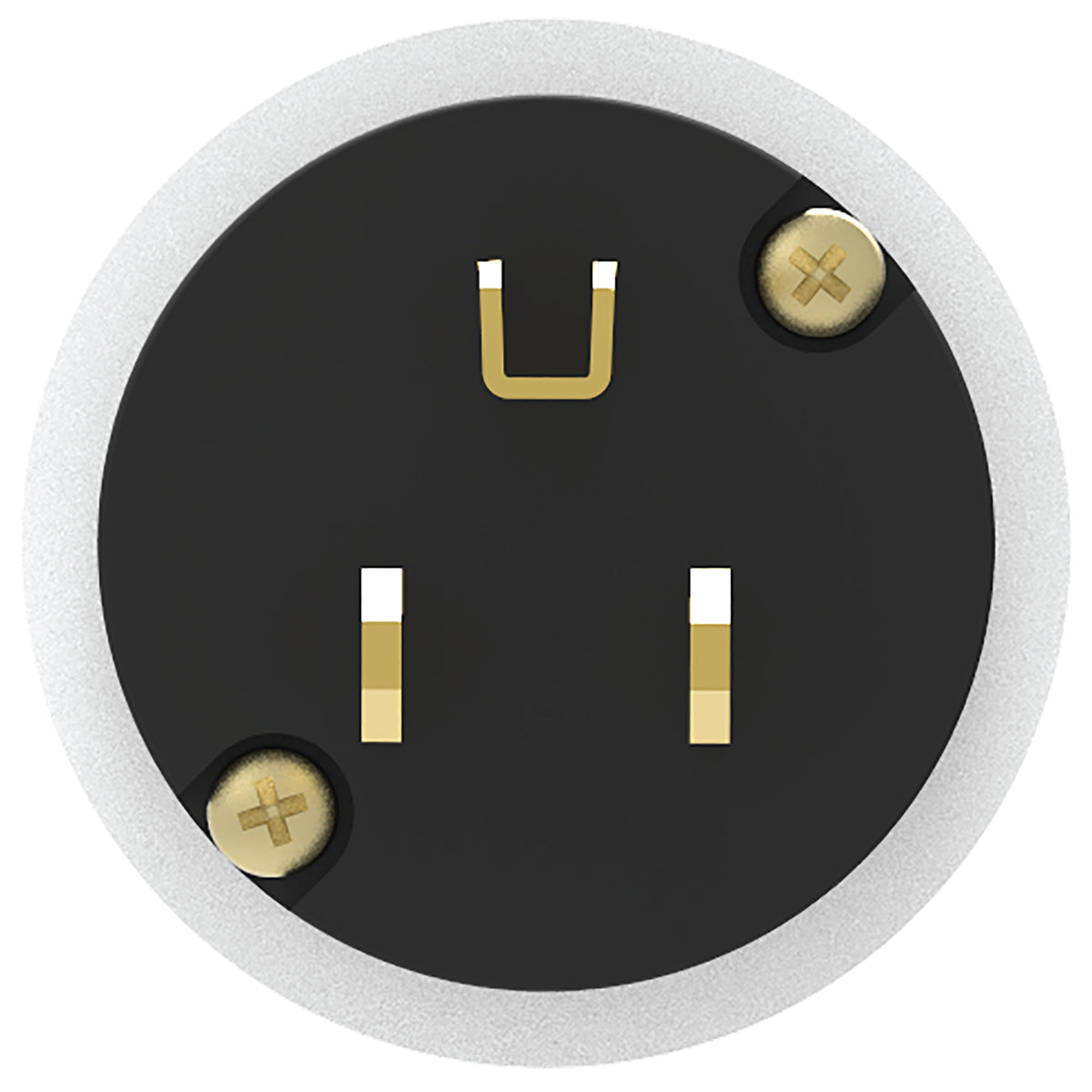 iFi Audio AC iPURIFIER - Audiophile AC Power Filter