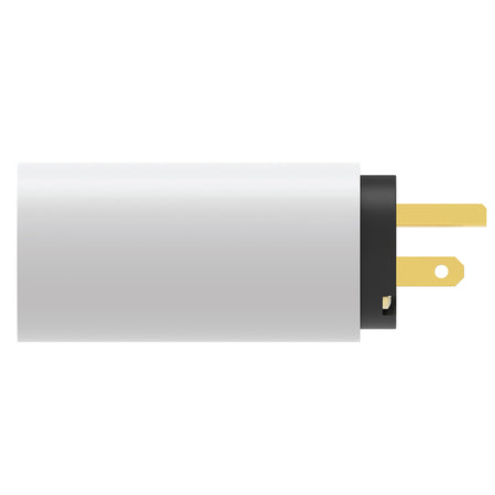 iFi Audio AC iPURIFIER - Audiophile AC Power Filter